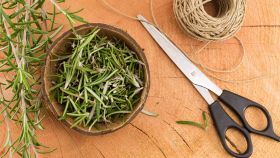 Come conservare il rosmarino fresco