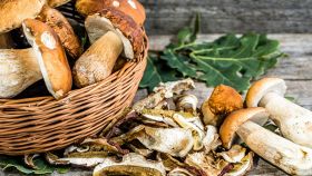 Come essiccare i funghi