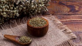 Come essiccare l’origano