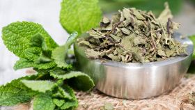 Come essiccare la menta e come conservarla