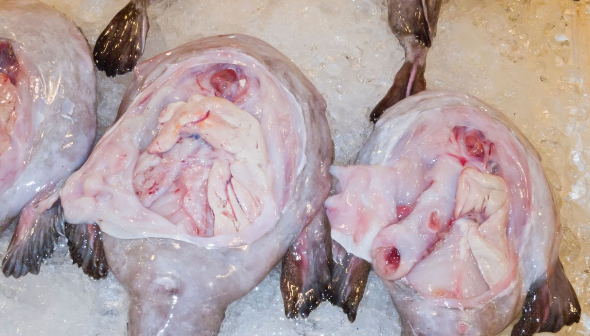 Come pulire la rana pescatrice_step_1