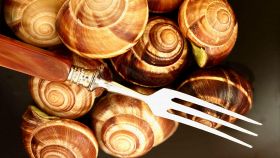 Come spurgare e pulire le lumache