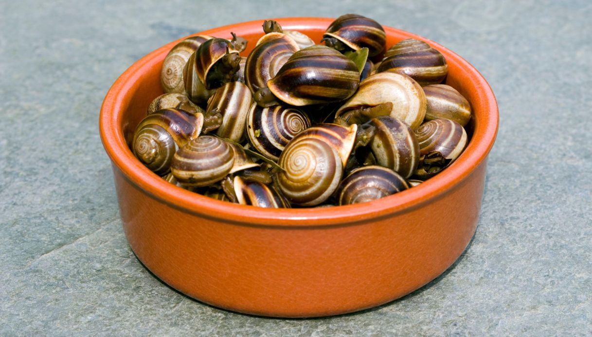 Come spurgare e pulire le lumache_step_1