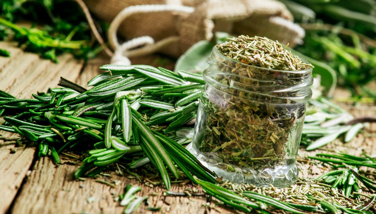 Come essiccare il rosmarino_step_2