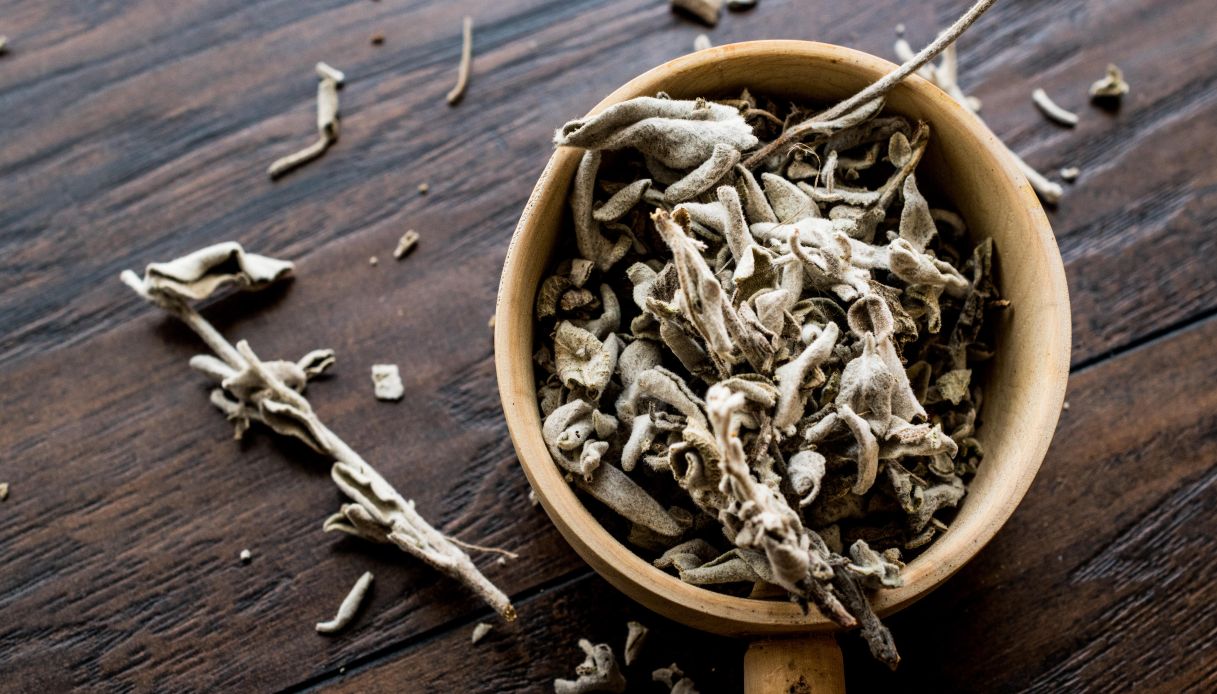 Come essiccare la salvia_step_2