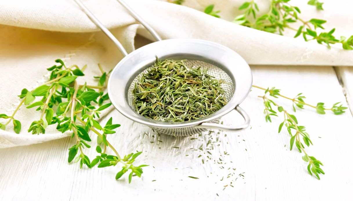 Come essiccare il timo_step_1