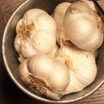 aglio