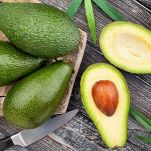 Avocado