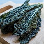 cavolo nero