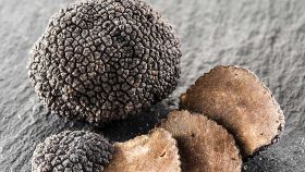 Sapori di bosco: a ottobre torniamo a gustare tutte le prelibatezze della terra