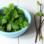 foglie-di-menta