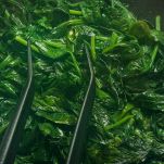 spinaci