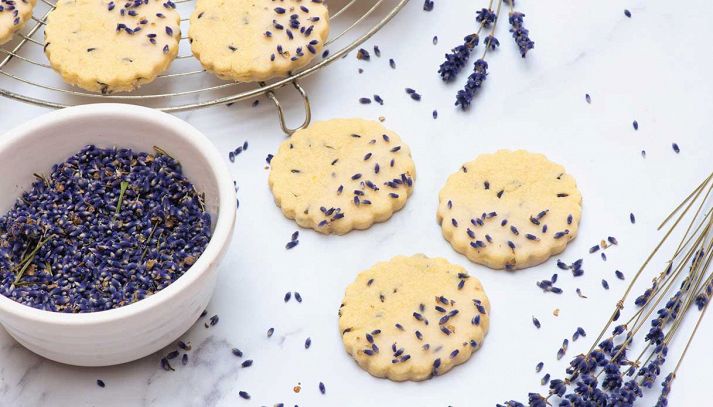 biscotti-di-zenzero-e-lavanda