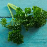coriandolo-fresco-per-guarnire