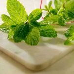 foglie-menta-fresca