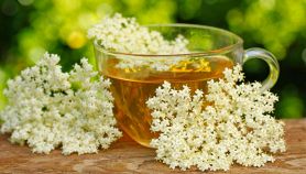 Tisane digestive