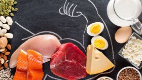 Proteine e dieta