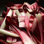 radicchio