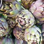 carciofi