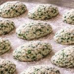 Formazione degli gnudi