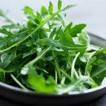 rucola