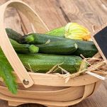 zucchine