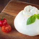burrata