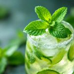 menta nel mojito
