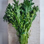 rucola