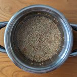 cuocere lenticchie