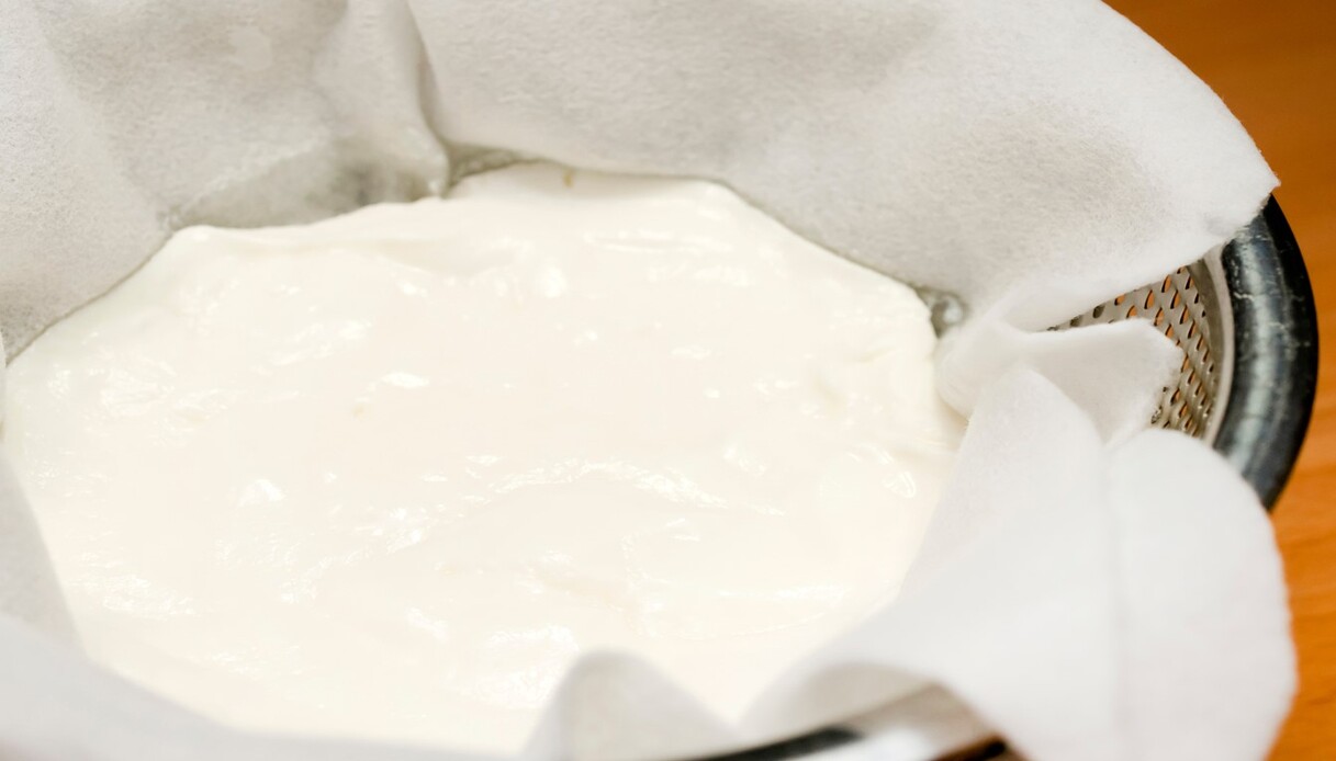 formaggio ricotta yogurt