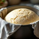 panettone gastronomico nello stampo