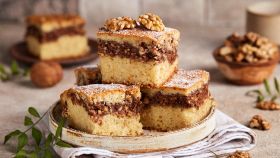 noci proprieta benefici pecan macadamia noci del brasile