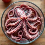 Polpo cotto tagliato in pezzi regolari.