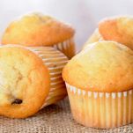 dreamstime_m_53131057