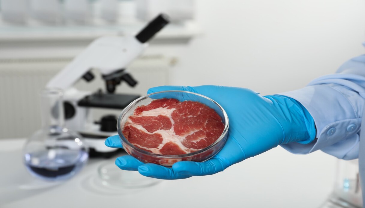 scienziato che tiene la capsula con carne coltivata in laboratorio