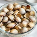 Cannolicchi e fasolari puliti dopo lo spurgo in acqua salata.