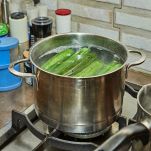 dreamstime_m_266078182-1