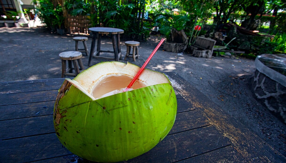 cocco fresco pronto da bere nella caffetteria in indonesia