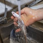 dreamstime_m_201273746