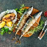 dreamstime_m_55095641-1