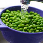 dreamstime_m_6176264