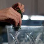 sponge cake senza sifone