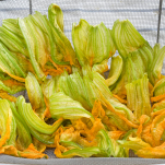 tortino ai fiori di zucca