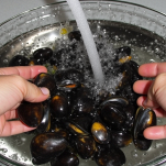 Cozze senza incrostazioni e bisso