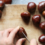 Castagne