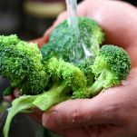 dreamstime_m_36389838