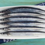 dreamstime_m_45439468