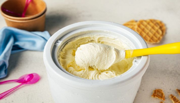Fresco gelato alla vaniglia fatto con la gelatiera