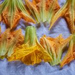 Fiori di zucca lavati